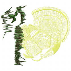 Wild Turkey Bird Embroidery Design 9